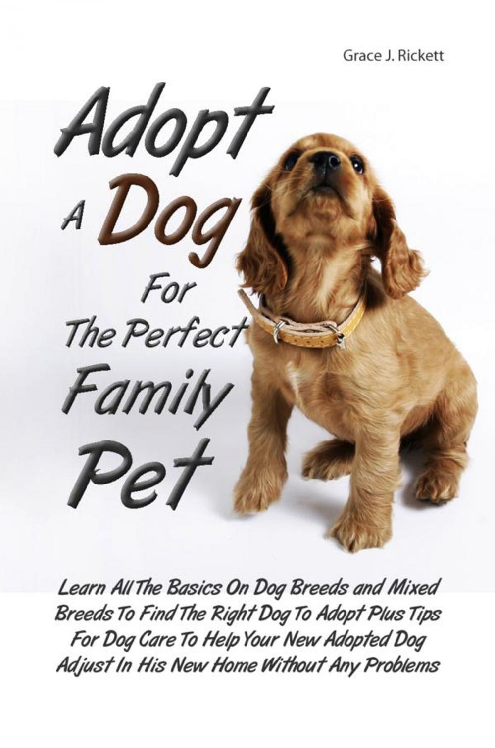 Big bigCover of Adopt A Dog For The Perfect Family Pet