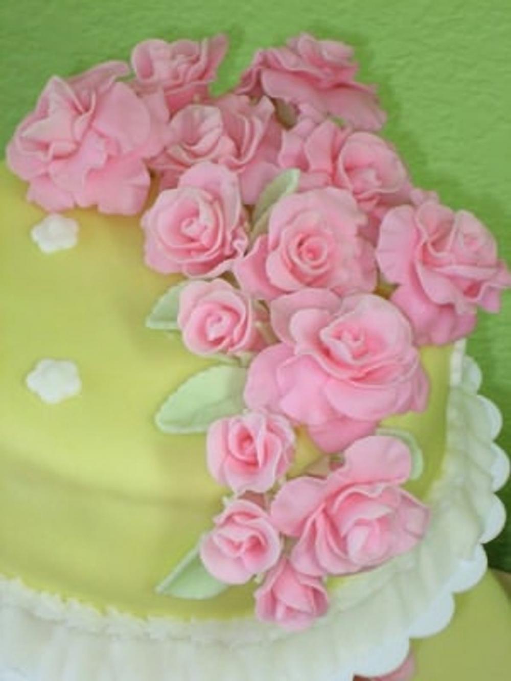 Big bigCover of Cake Decorating Courses For Beginners