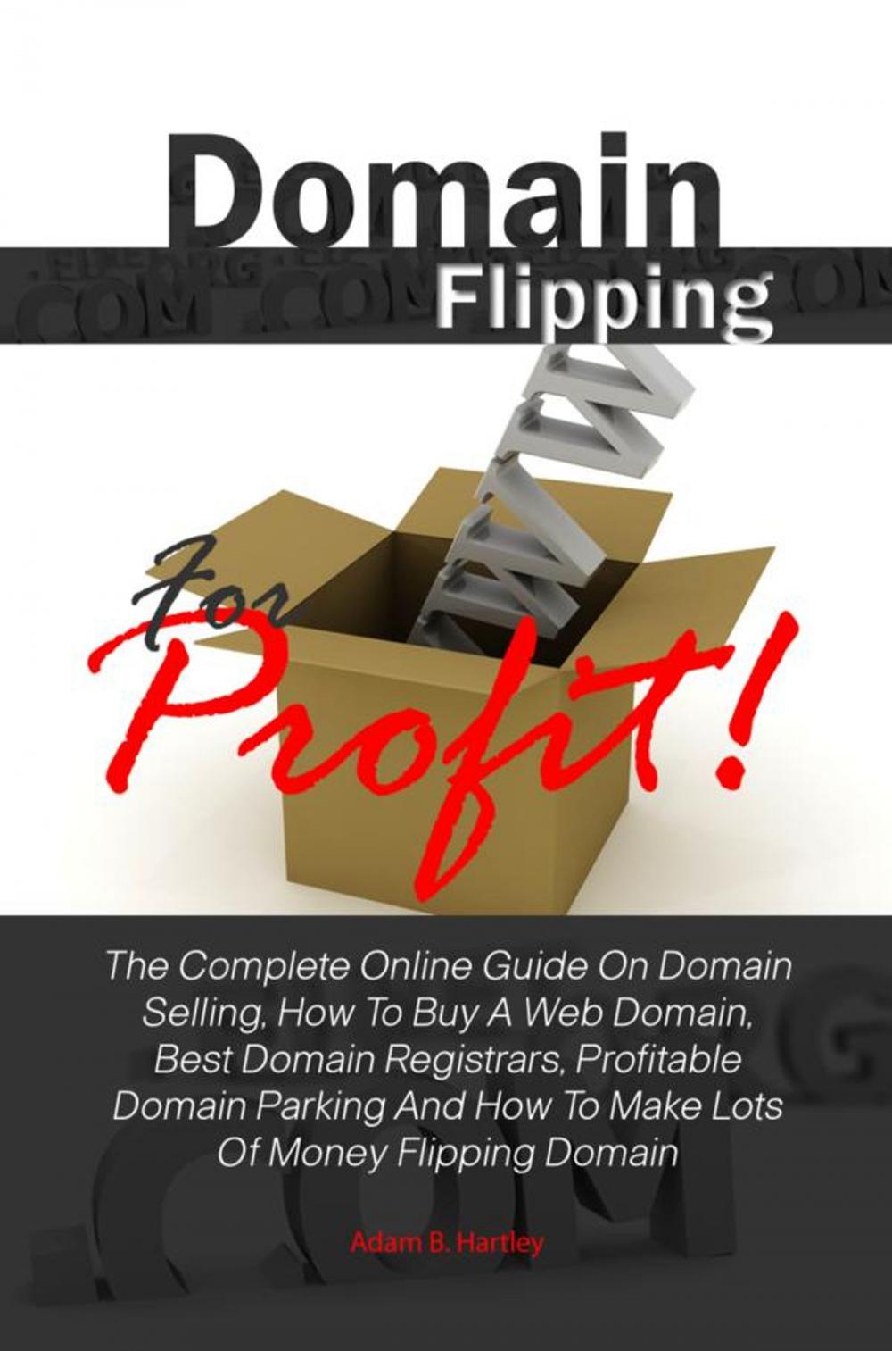 Big bigCover of Domain Flipping For Profit!
