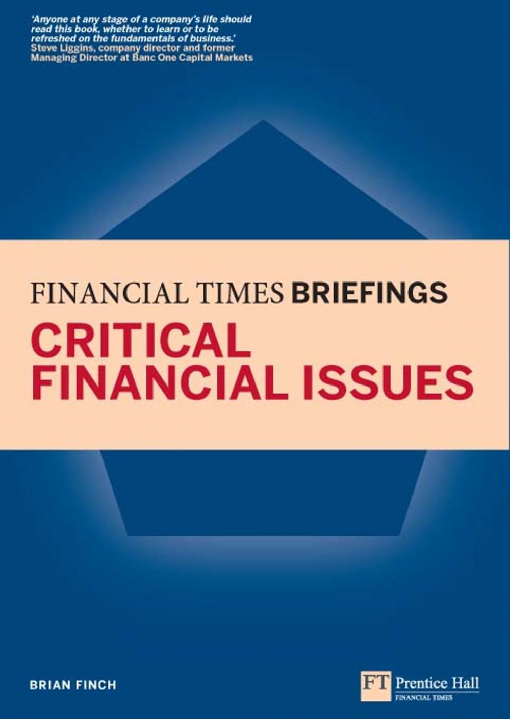 Big bigCover of Critical Financial Issues: Financial Times Briefing