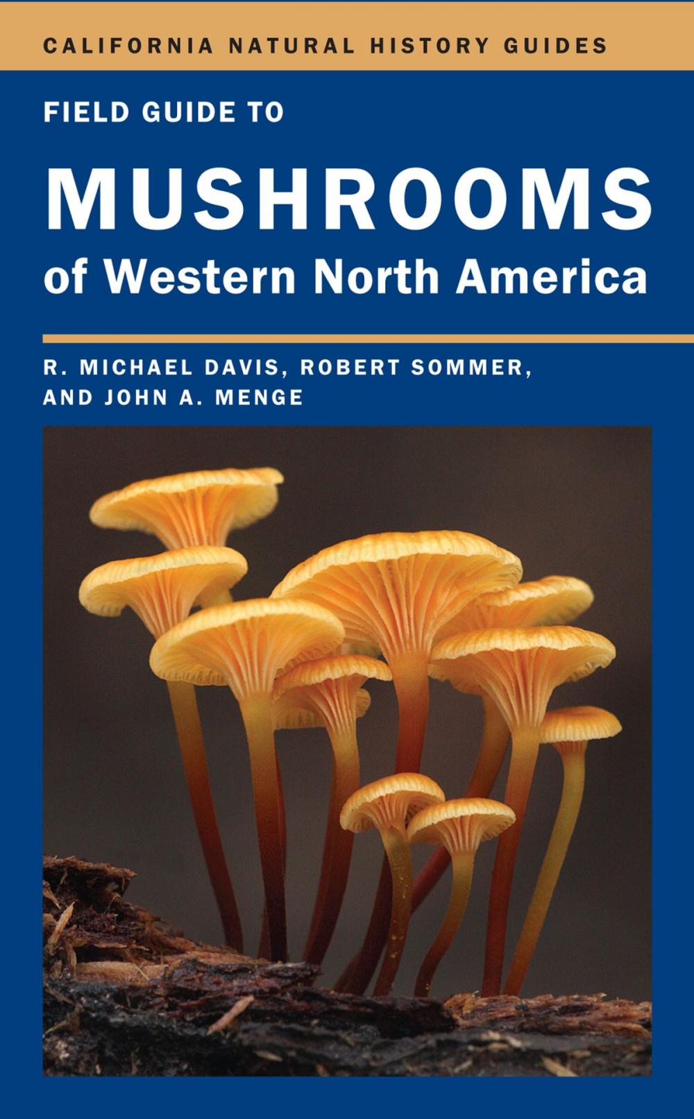 Big bigCover of Field Guide to Mushrooms of Western North America