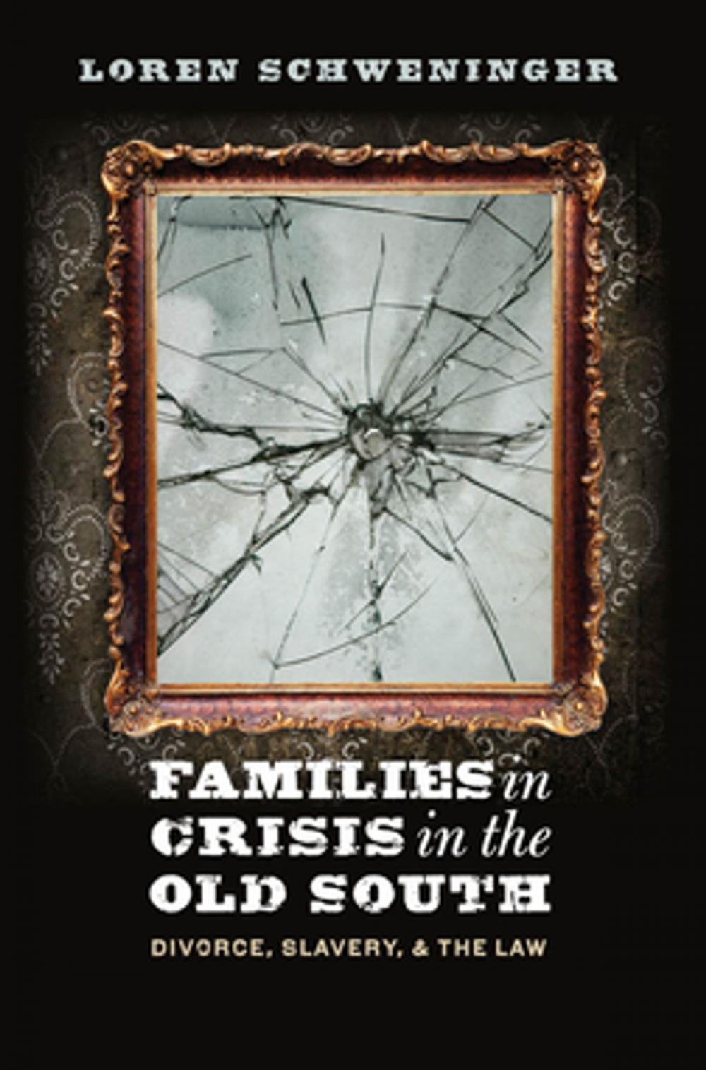 Big bigCover of Families in Crisis in the Old South