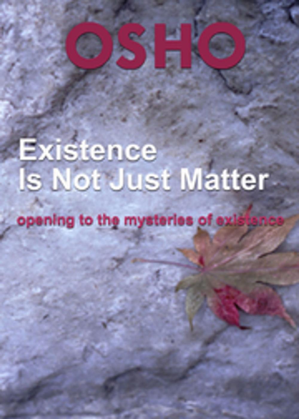 Big bigCover of Existence Is Not Just Matter