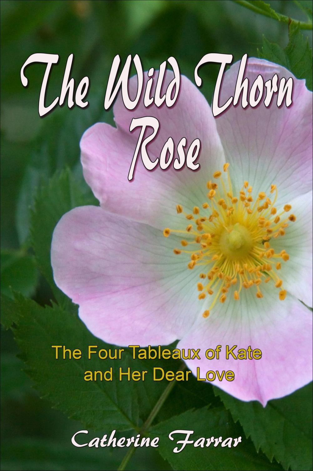 Big bigCover of The Wild Thorn Rose