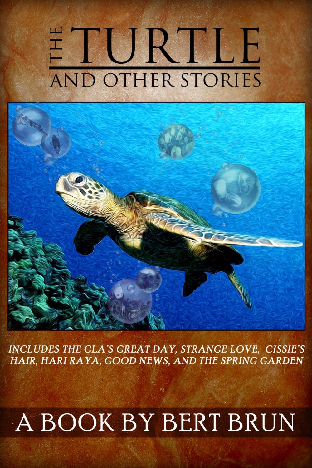 Big bigCover of The Turtle and Other Stories by Bert Brun
