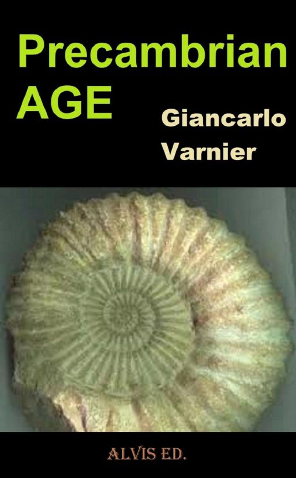 Big bigCover of Precambrian Age