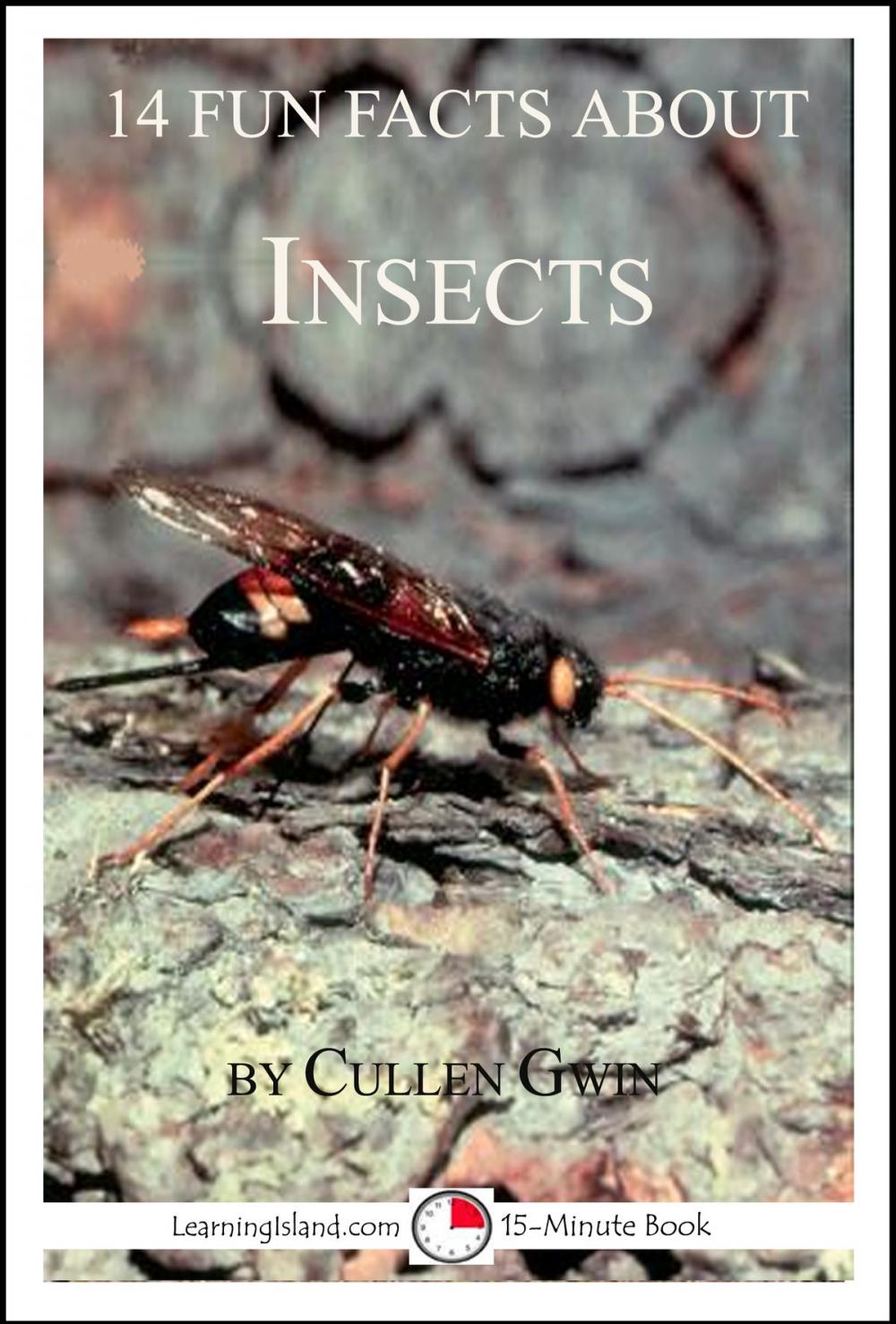 Big bigCover of 14 Fun Facts About Insects: A 15-Minute Book