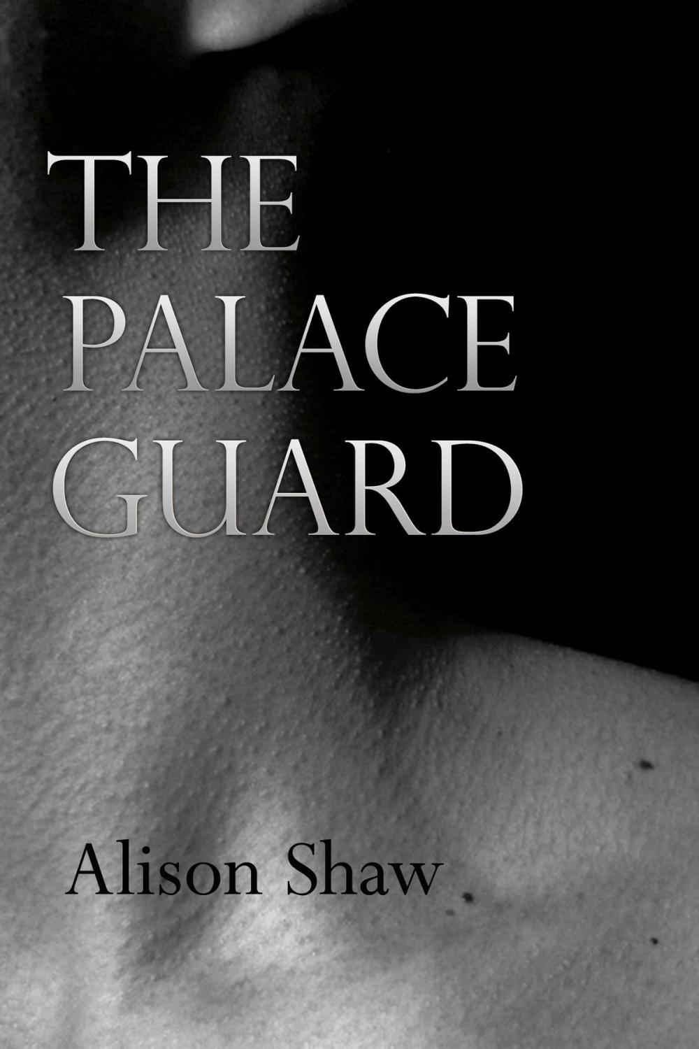 Big bigCover of The Palace Guard