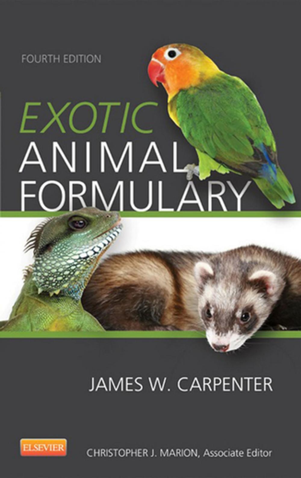 Big bigCover of Exotic Animal Formulary - eBook