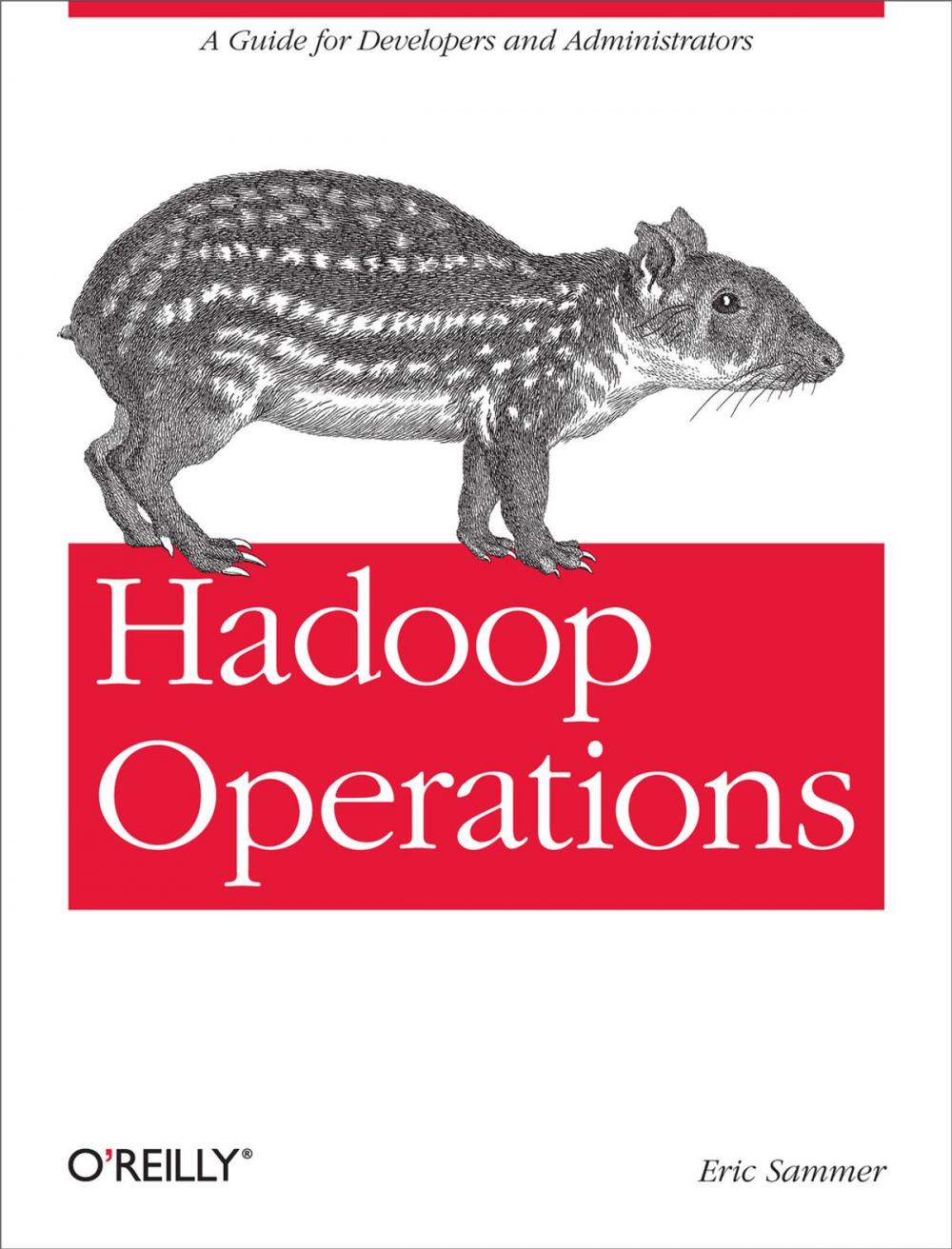 Big bigCover of Hadoop Operations