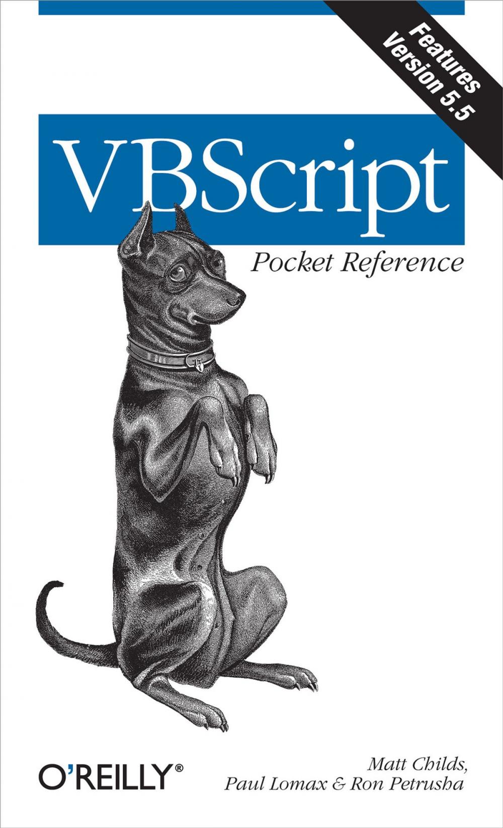 Big bigCover of VBScript Pocket Reference