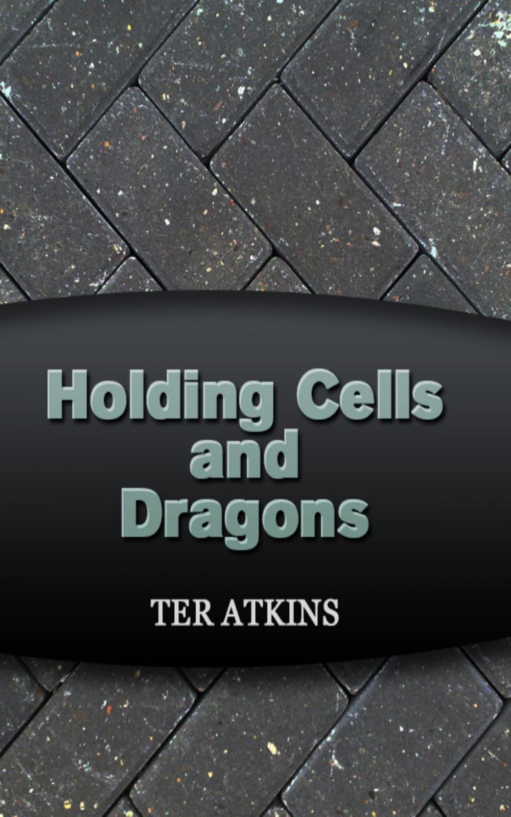 Big bigCover of Holding Cells and Dragons