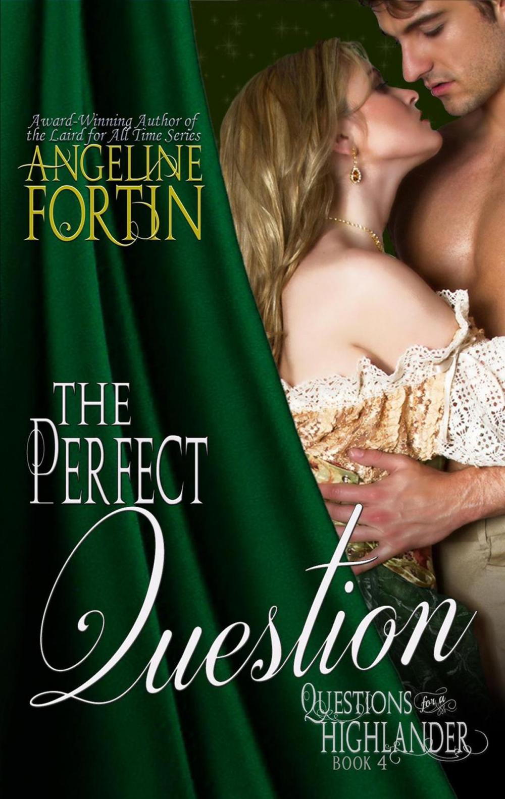 Big bigCover of The Perfect Question