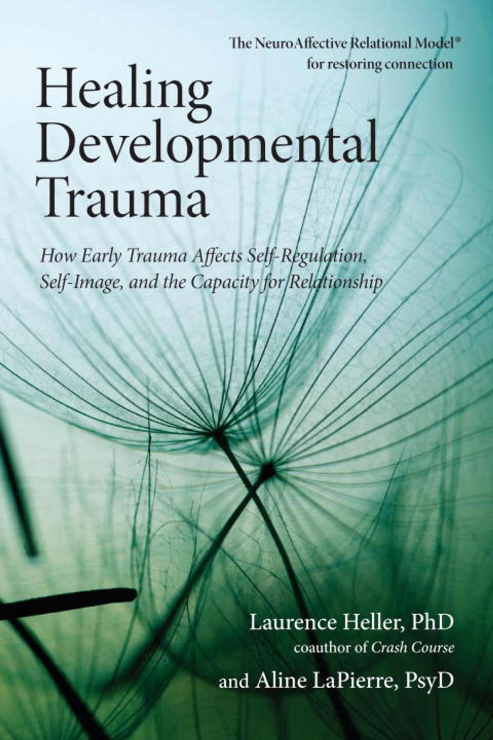 Big bigCover of Healing Developmental Trauma