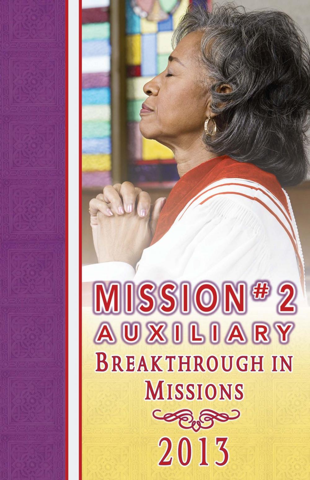 Big bigCover of 2013 Mission #2 Auxiliary Mission Guide