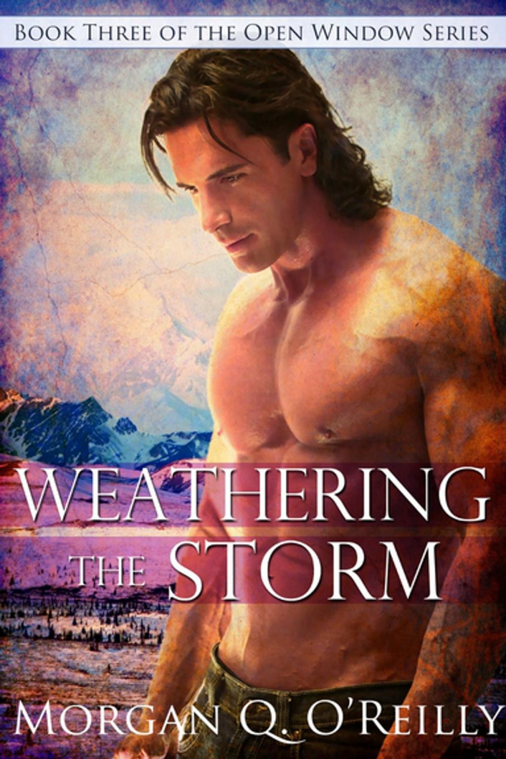 Big bigCover of Weathering the Storm
