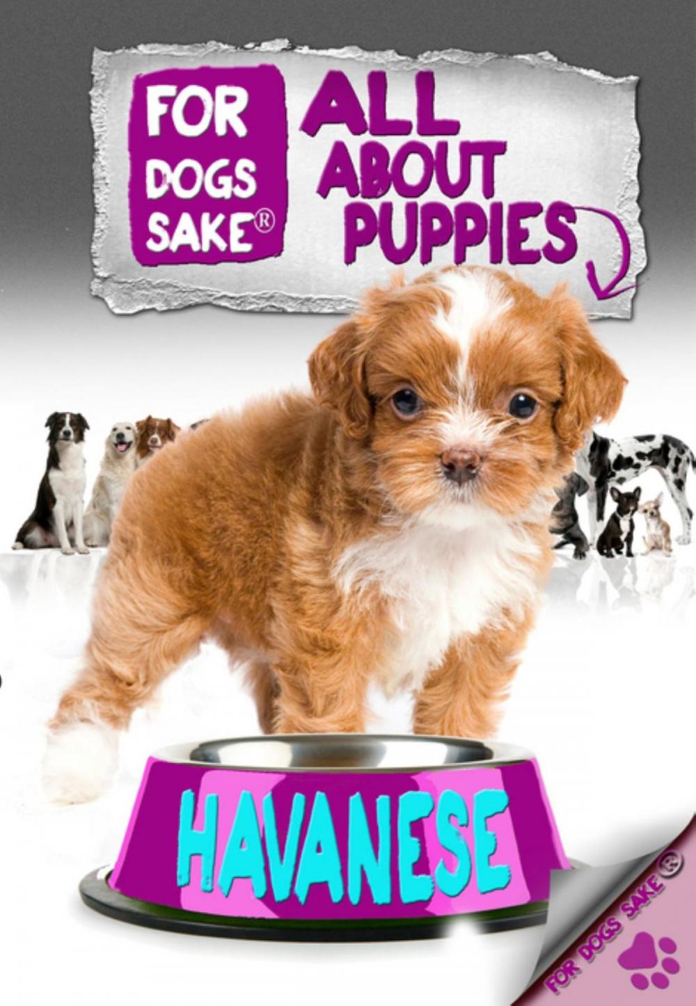 Big bigCover of All About Havanese Puppies