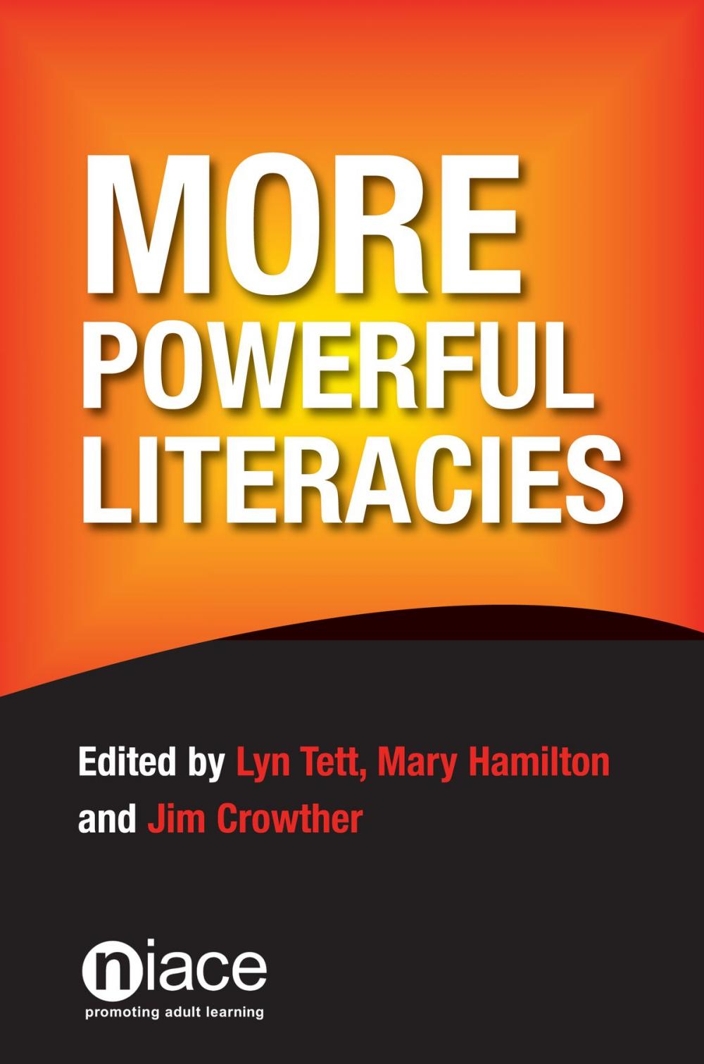 Big bigCover of More Powerful Literacies
