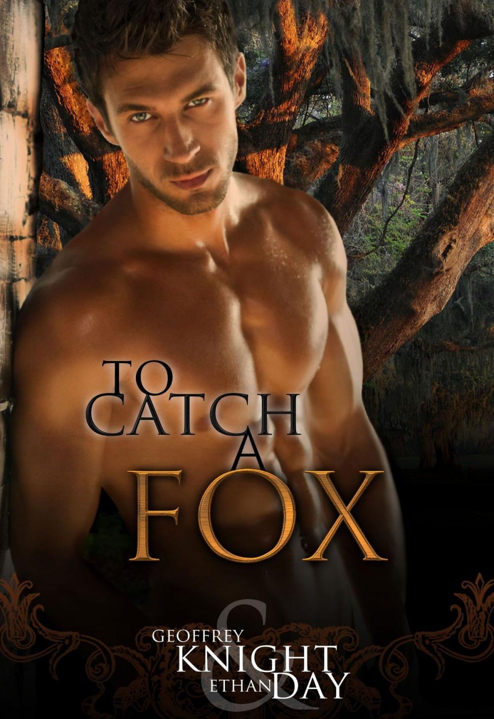 Big bigCover of To Catch a Fox