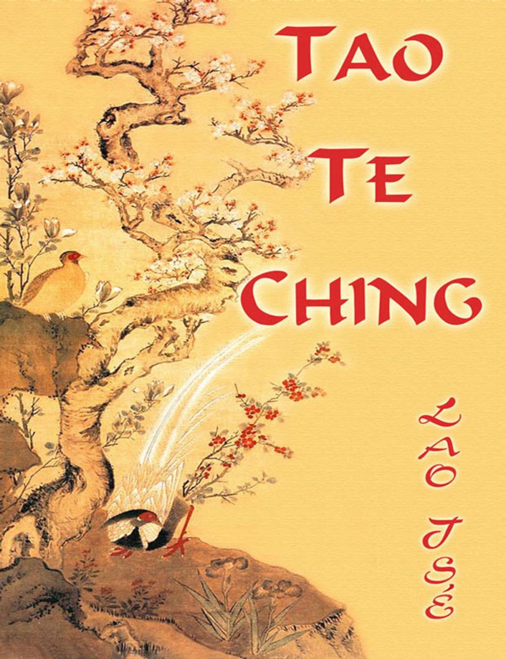 Big bigCover of Tao Te Ching