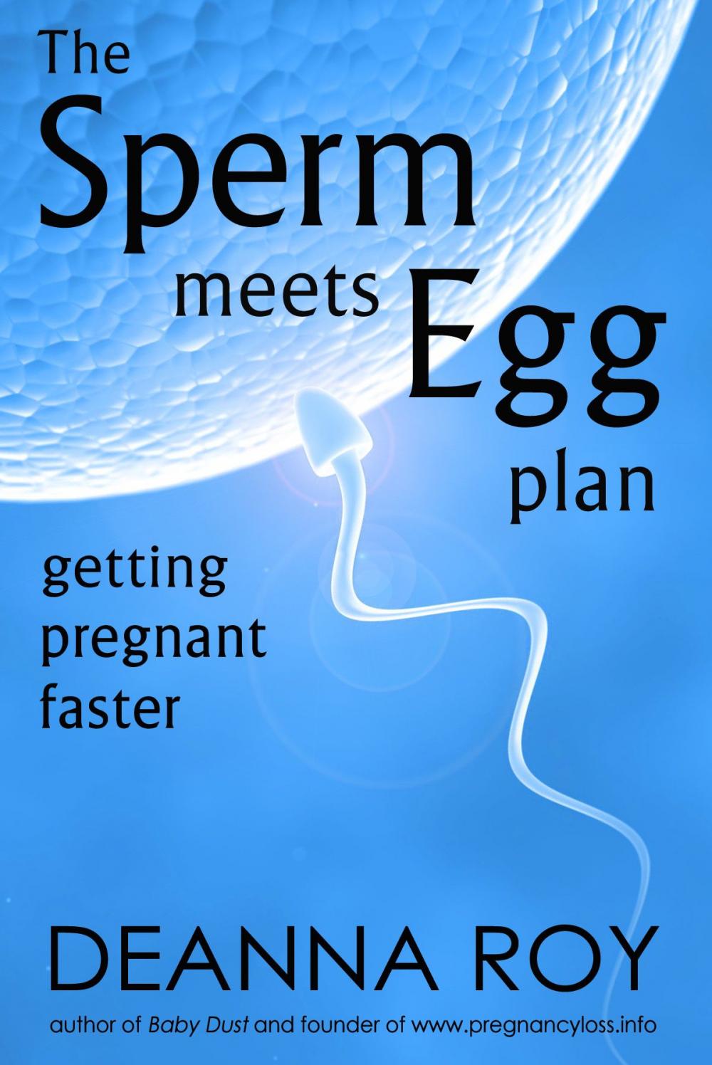 Big bigCover of The Sperm Meets Egg Plan: Getting Pregnant Faster