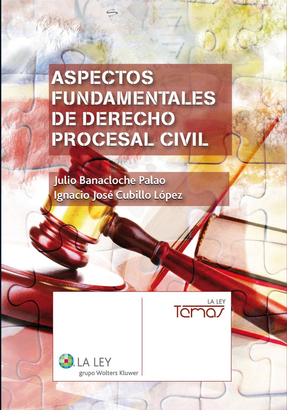 Big bigCover of Aspectos fundamentales de Derecho procesal civil