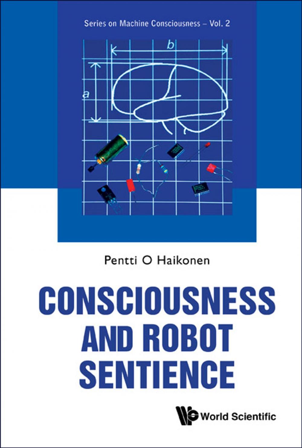 Big bigCover of Consciousness and Robot Sentience