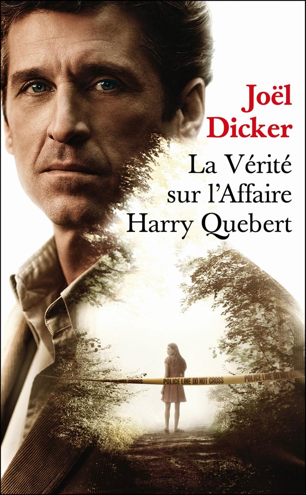 Big bigCover of La vérité sur l'affaire Harry Quebert - Prix de l'Académie Française 2012