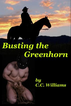 Cover of Busting The Greenhorn