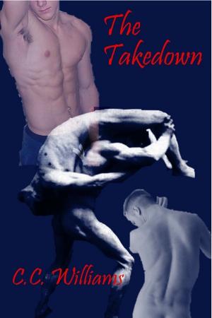 Cover of the book The Takedown by Angie Le Gac