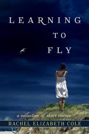 Cover of the book Learning to Fly by Paul Wolfle