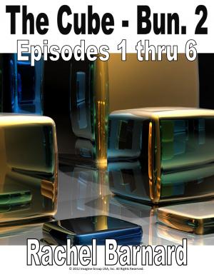 Book cover of THE CUBE - BUNDLE #2 - EPISODES 1 thru 6 [THE CHRONICLES OF ATAXIA]