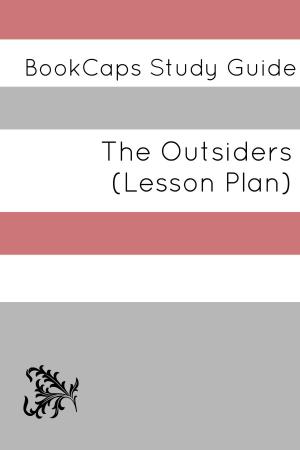 Book cover of The Outsiders: Teacher Lesson Plans and Study Guide