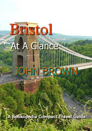 Cover of the book Bristol At A Glance by John Brown