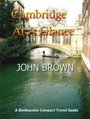 Book cover of Cambridge At A Glance