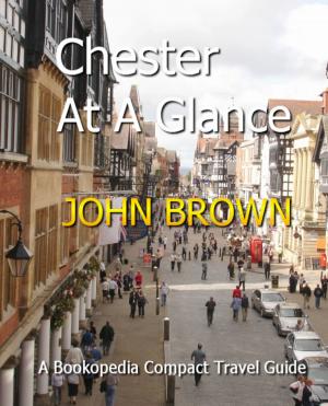 Cover of the book Chester At A Glance by Christina Walker