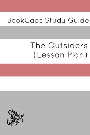 Cover of the book The Outsiders: Teacher Lesson Plans by Lora Greene, HistoryCaps