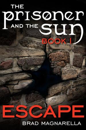 Book cover of Escape (The Prisoner and the Sun #1)