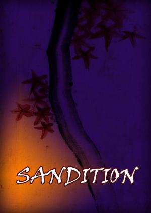 Cover of the book Sanditon by Zhingoora  Bible Series