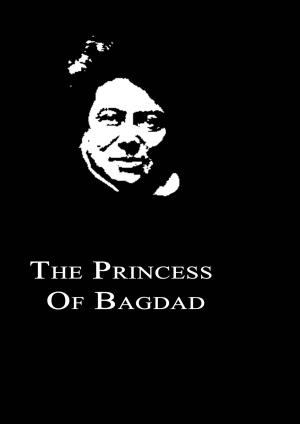 Cover of the book The Princess Of Bagdad by Karen Silvestri