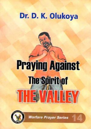 Cover of the book Praying Against the Spirit of the Valley by Dr. D. K. Olukoya