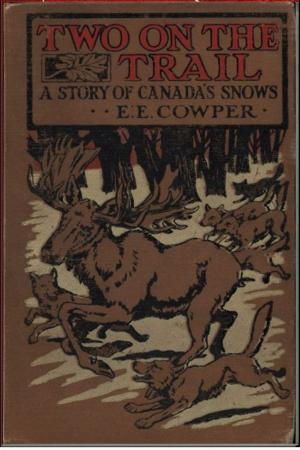 Cover of the book Two on the Trail by Jean Plaidy