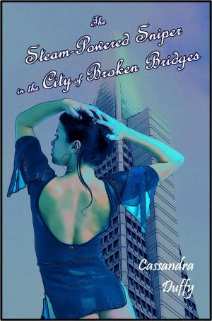 Cover of the book The Steam-Powered Sniper in the City of Broken Bridges by D. A. Metrov