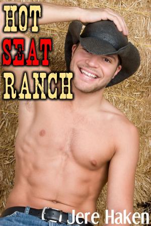 Book cover of Hot Seat Ranch