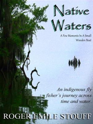 Book cover of Native Waters