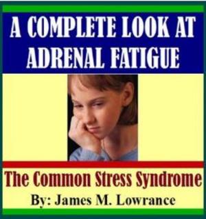 Cover of the book A Complete Look at Adrenal Fatigue by James Lowrance