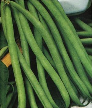 Cover of the book A Crash Course on How to Grow Pole Beans by Nilo Big