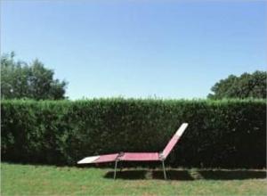Cover of How to Grow a Hedge Fence