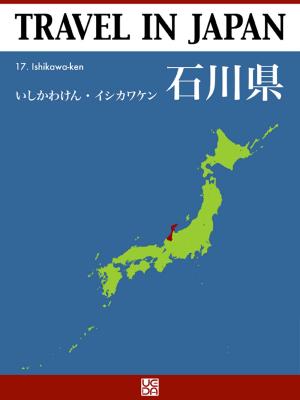 Cover of the book 17. Ishikawa by 張維中
