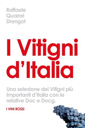 Cover of the book I Vitigni d’Italia by Daniel Sun